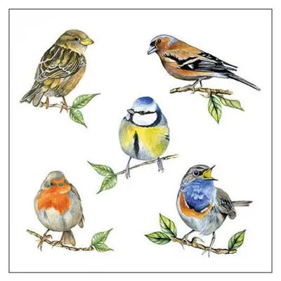 Image de Serviettes de table 25 x 25 cm - 3 plis - paquet de 20 serviettes