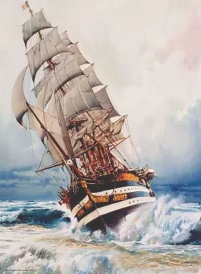 Produktbild von ANATOLIAN Black Pearl Puzzle 1000 Teile