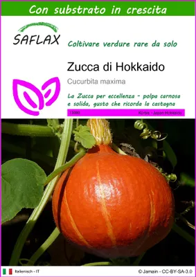 Immagine prodotto di SAFLAX - Zucca di Hokkaido - 10 semi - Con substrato - Cucurbita