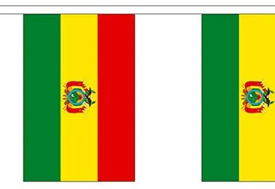 Bolivien Wimpelkette, 9 m, Polyester, 30 Flaggen