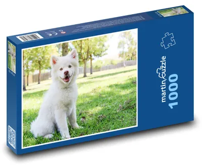 Obrázok produktu pre Puzzle 1000 Šteniatko na zelenej lúke - martinpuzzle