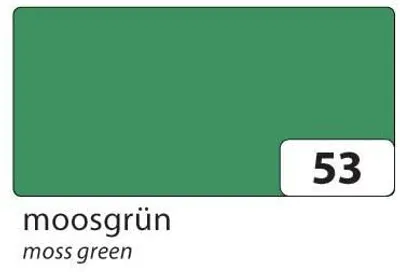 Produktbild von Folia Fotokarton 70x100 10Bl 300g moosgrün