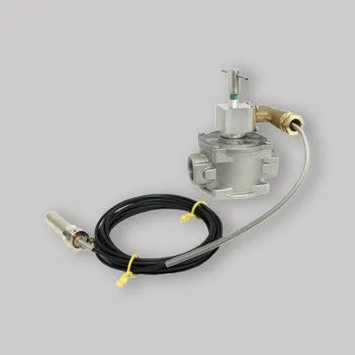 Productafbeelding van Brandstofafsluitklep Inail, DN 65, met 2" schroefdraad