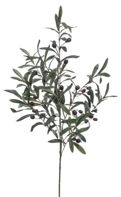 Produktbild von künstlicher Olivenzweig XXL H. 100cm grün braun Emerald Kunstblumen