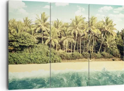 Produktbild von Bild auf Leinwand - Leinwandbild - 3 Teile - Natur Strand Palmen - 165x110cm - Wand Bild - Wanddeko - Wandbilder - Leinwanddruck - Bilder - Wanddekoration - Leinwand bilder - Wandbild - CE165x110-4915