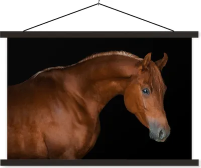 Produktbild von MuchoWow® Textilposter Pferd - Schwarz - Braun 90x60 cm mit schwarzem Rahmen - Aufhängungssatz
