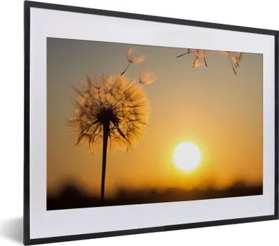Produktbild von MuchoWow® Gerahmtes Poster Löwenzahn - Sonne - Sonnenuntergang 40x30 cm - Poster mit Schwarzem Bilderrahmen Wandposter Rahmen Foto Bilder - Bilderrahmen - Poster im Rahmen