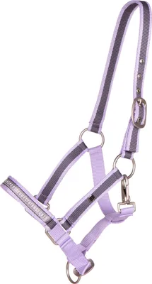 Immagine prodotto di QHP Halter Foal Collection Lavender FS 23, Taglia:Full