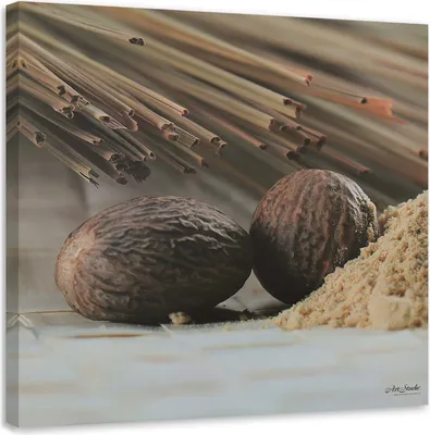 Immagine prodotto di Quadro su tela due semi marroni 40x40 cm Feeby quadro marrone pronto da appendere
