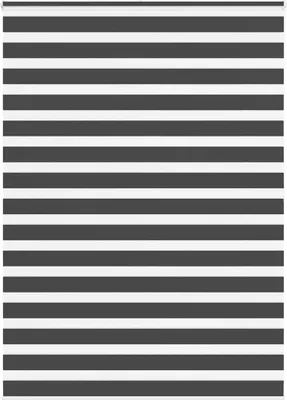 Produktbild von Doppelrollo Schwarz 155x200 cm Stoffbreite 150,9 cm Polyester