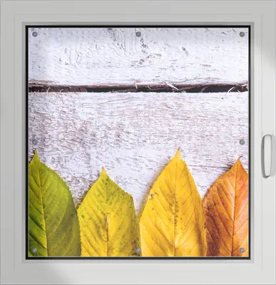 Produktbild von Wallario Lichtschutzbild, Dekorativer Sichtschutz Sonnenschutz 96 x 93 cm mit Motiv: Bunte Herbstblätter auf hellem Holz - Verdunklung ohne Bohren