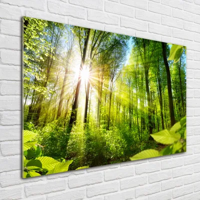 Produktbild von Tulup® Glas-Bild - 100 x 70 - Wandbild aus Glas - Wandkunst - Wandbild hinter gehärtetem Sicherheitsglas - Landschaften - Wald in der Sonne - Grün