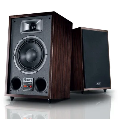 Produktbild von Magnat TRANSPULS 800A, 2-Wege, Verkabelt & Kabellos, 60 W, 34 - 32000 Hz, Schwarz, Braun