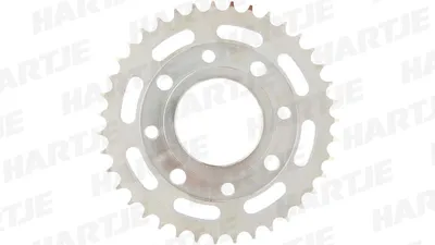 Immagine prodotto di Pignone RK "3139" 428, acciaio 45 denti