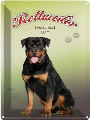 Produktbild von vianmo Blechschild 40x30 cm Hund Rottweiler Deutschland 1850
