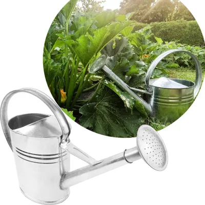 Produktbild von BAUSTER® Gießkanne verzinkt 8 Liter Zinkgießkanne Metallgießkanne Oval mit Gießbrause für den Garten und das Gewächshaus