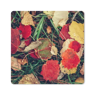 Produktbild von MuchoWow® Mauspad Mousepad Blätter - November - Herbst - Natur 20x20 cm - Mousepads - Maus Mat - Pad - Mausunterlage - Desk Mat - Bureauartikeln