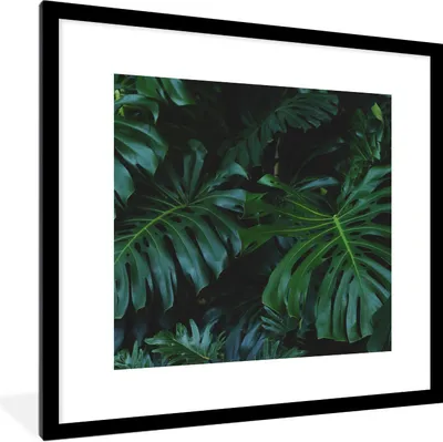 Produktbild von MuchoWow® Gerahmtes Poster Pflanzen - Dschungel - Blätter 40x40 cm - Poster mit Schwarzem Bilderrahmen Wandposter Rahmen Foto Bilder - Poster - Plakat im Rahmen