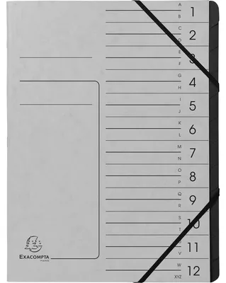 Image de Exacompta 541211E Classeur à levier - 12 compartiments, A4, carton Colorspan, gris