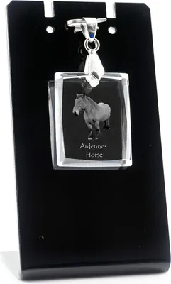 Zdjęcie produktu dla Konik ardeński – wiszący amulet z motywem konia, naszyjnik z fotografią, wyjątkowa biżuteria firmy Art-Dog