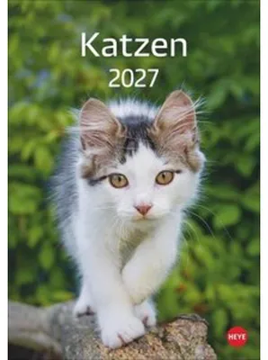 Obrázek produktu pro Kočičí kalendář 2027