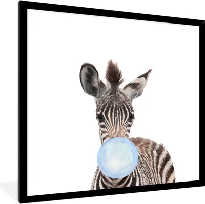 Produktbild von MuchoWow® Gerahmtes Poster Zebra - Kaugummi - Blau - Tiere - Junge - Kind 40x40 cm - Poster mit Schwarzem Bilderrahmen Wandposter Rahmen Foto Bilder - Mit Rahmen - Wanddekoration Schlafzimmer