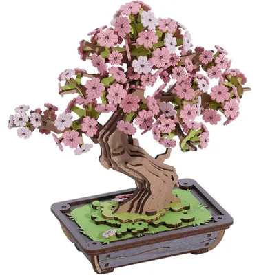 Produktbild von TG415 Sakura Bonsai