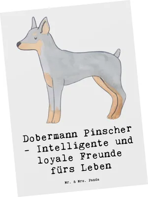 Produktbild von Mr. & Mrs. Panda Postkarte Dobermann Pinscher Freund - Weiß - Geschenk, Hunderassen Pflege, bildkarte, Grußkarte, Postkarten, Vielfalt, Wachhunde, Hunderasse, Schutzhund