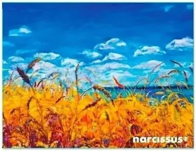 Produktbild von PP-Umschlagmappe A6 „Himmel“ – Narcissus