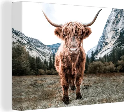 Produktbild von MuchoWow® - Leinwandbilder - Schottischer Highlander - Berg - Tiere, Wandbild, Wanddeko Bilder Wohnzimmer, 120x90 cm