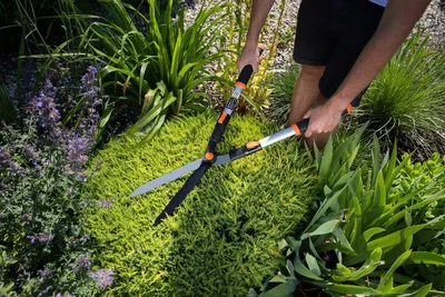 Image de Cisailles Strend Pro KT3833A, de jardin, pour haie, Alu, télescopiques