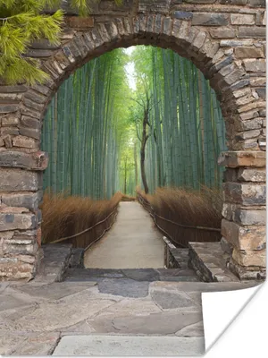 Produktbild von MuchoWow® Poster Bambus - Japanisch - Durchsichtig - Wald 60x80 cm - Schlafzimmer Dekoration