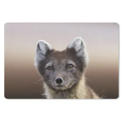 Produktbild von MuchoWow® Schreibtischunterlage Fuchs - Porträt - Braun 60x40 cm - XXL Mauspad - Großes Mauspad