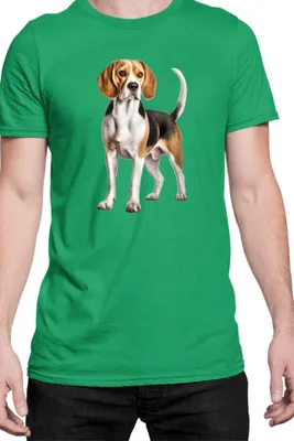 Immagine prodotto di Maglietta da uomo Dogs Breeds Beagle Dog Breed 007, Man L , Vert