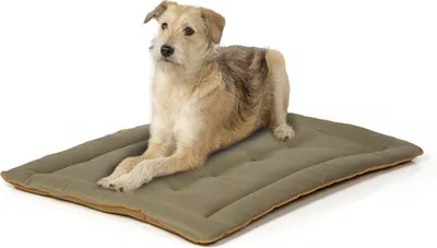 Produktbild von gepolsterte Hundematte 90 x 70 cm,  braun oliv  bei 95°C waschbar für Hunde