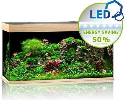 Produktbild von Juwel Rio 350 LED helles Holz - Aquarium Juwel