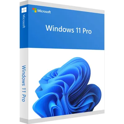 Windows 11 Pro Professional kaufen