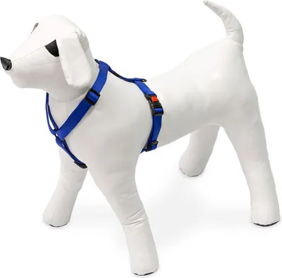 Produktbild von Karlie Art Sportiv Plus - Hundegeschirre - S - Nylon - Blau - 35-50x1,5 cm