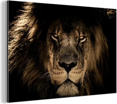 Produktbild von MuchoWow Wanddekoration Metall Metallbild Wandkunst 120x80 cm Löwe - Tiere - Schwarz - Porträt MuchoWow Aluminium Gemälde - Alu Bild