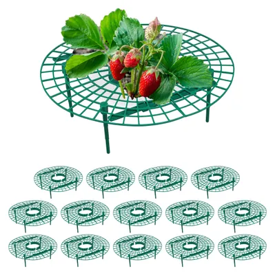 Immagine prodotto di Omgoods - Set di 15 supporti in plastica per piante di fragole, per la protezione