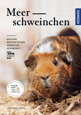 Produktbild von Meerschweinchen