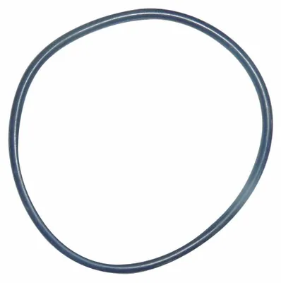 Produktbild von UNGER Dichtungsring Vorfiltergehäuse 2,5"