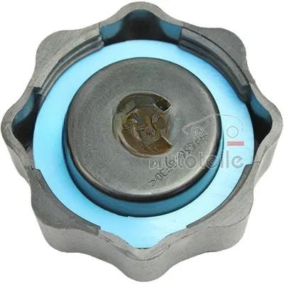 Immagine prodotto di Tappo del serbatoio del refrigerante METZGER per MINI MINI (R50)