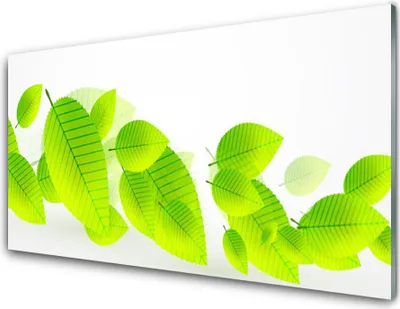 Produktbild von Acrylglasbilder 100x50 Wandbild Druck Blätter Pflanzen