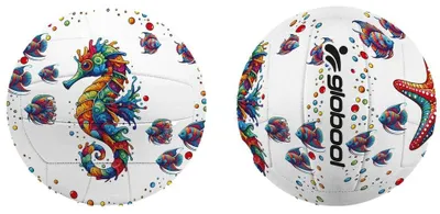 Productafbeelding van Pallone Beach Volley Zeeleven