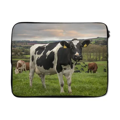 Produktbild von MuchoWow® Laptop Hülle 17 Zoll Laptoptasche Kuh - Berg - Gras - Tiere - Zipper - Schutzabdeckung