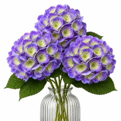 Produktbild von G.blümt Künstliche Hortensien 64 cm lang, Kunstblumen Real Touch wie echt, Lila 3 Stück