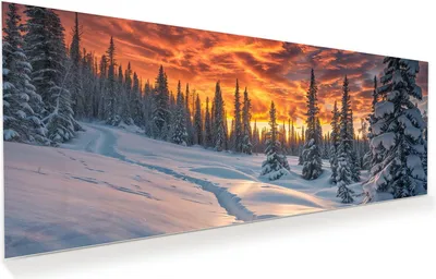 Produktbild von Glasbild 125x50cm in XXL für Wohnzimmer, Schlafzimmer Motiv Winter Sonnenuntergang