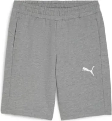 Produktbild von PUMA teamGOAL Casuals Shorts Herren grau XL