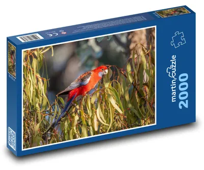 Produktbild von Puzzle 2000 Rosellasittich auf einem Ast - martinpuzzle